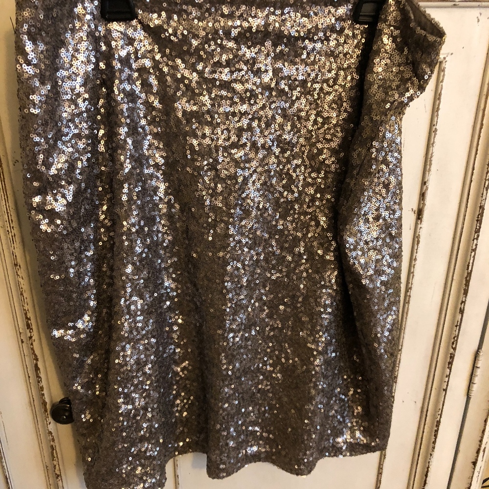 Silver Sequined Skirt - Picture 5 of 5